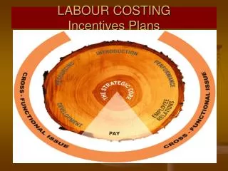 LABOUR COSTING Incentives Plans