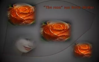 “The rose ” van Bette Midler