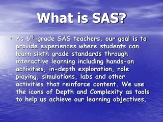 What is SAS?