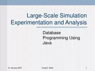 Large-Scale Simulation Experimentation and Analysis