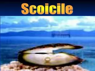 Scoicile