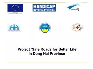 Project ‘Safe Roads for Better Life’ in Dong Nai Province