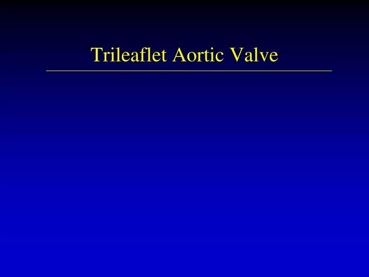 trileaflet aortic valve