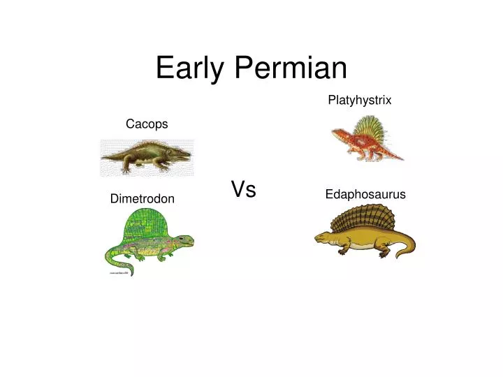 early permian
