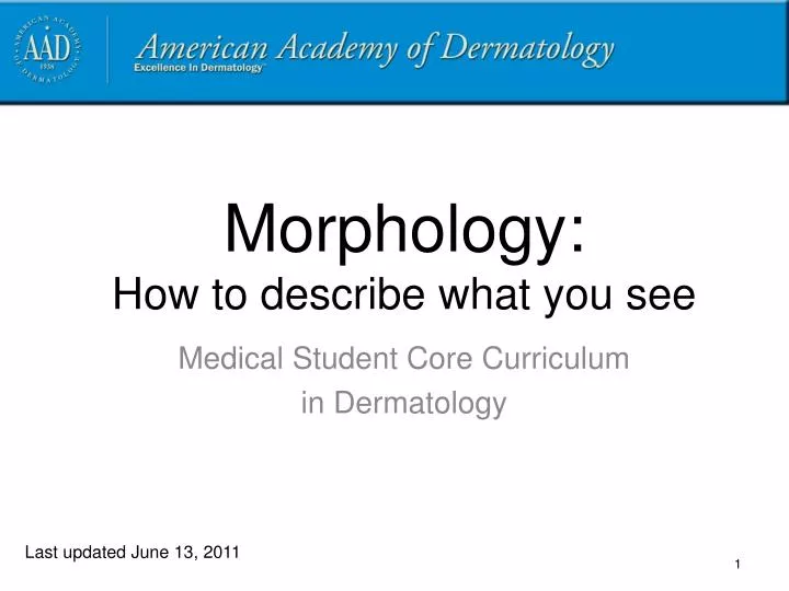 morphology how to describe what you see