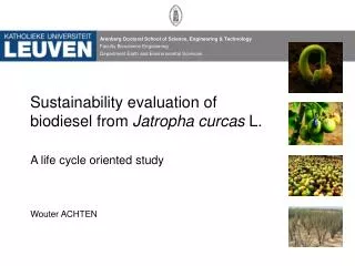 Sustainability evaluation of biodiesel from Jatropha curcas L.