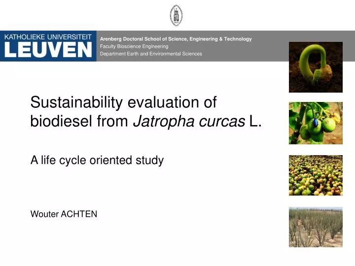 sustainability evaluation of biodiesel from jatropha curcas l
