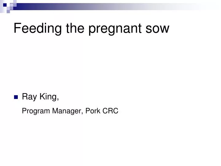 feeding the pregnant sow