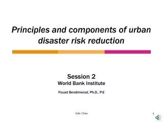 Principles and components of urban disaster risk reduction