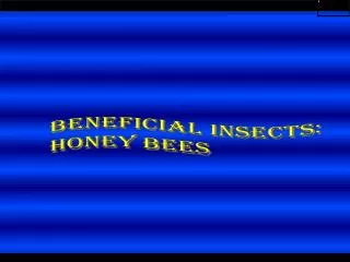 Beneficial insects: HONEY BEES