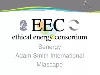 Senergy Adam Smith International Miascape