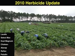 2010 Herbicide Update