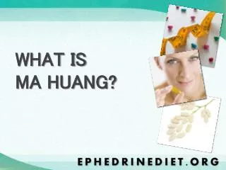 WHAT IS MA HUANG?