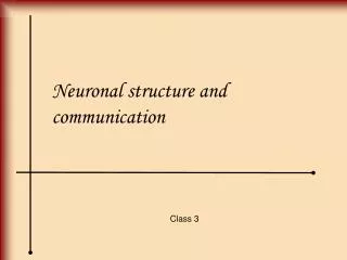 Neuronal structure and communication