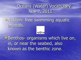 Oceans (Water) Vocabulary Nov 7, 2011
