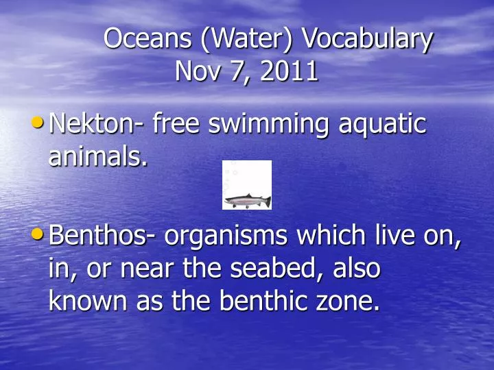 oceans water vocabulary nov 7 2011