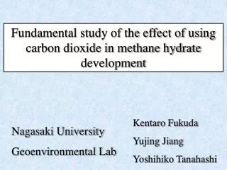 Fundamental study of the effect of using carbon dioxide in methane hydrate development
