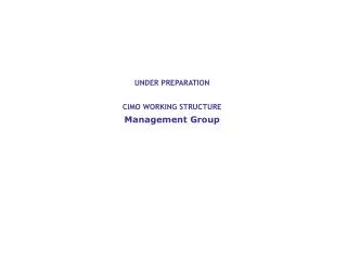 UNDER PREPARATION CIMO WORKING STRUCTURE Management Group