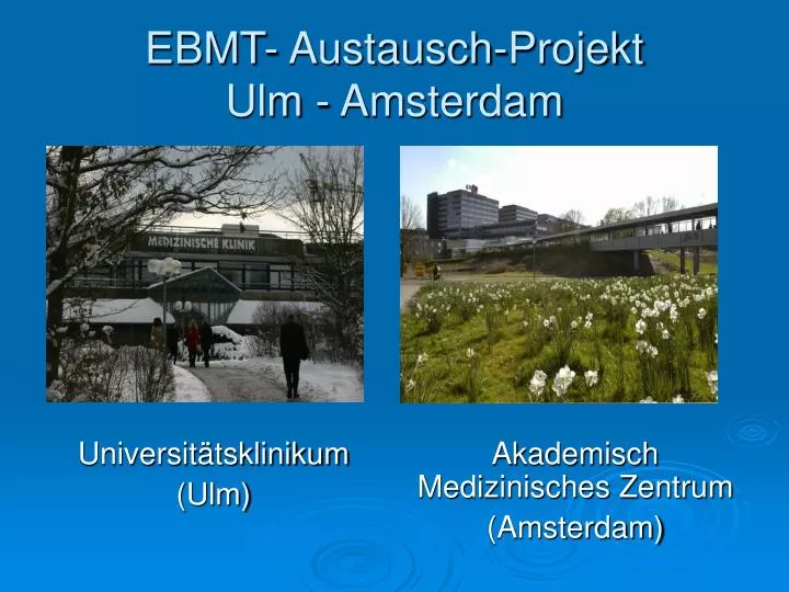 ebmt austausch projekt ulm amsterdam