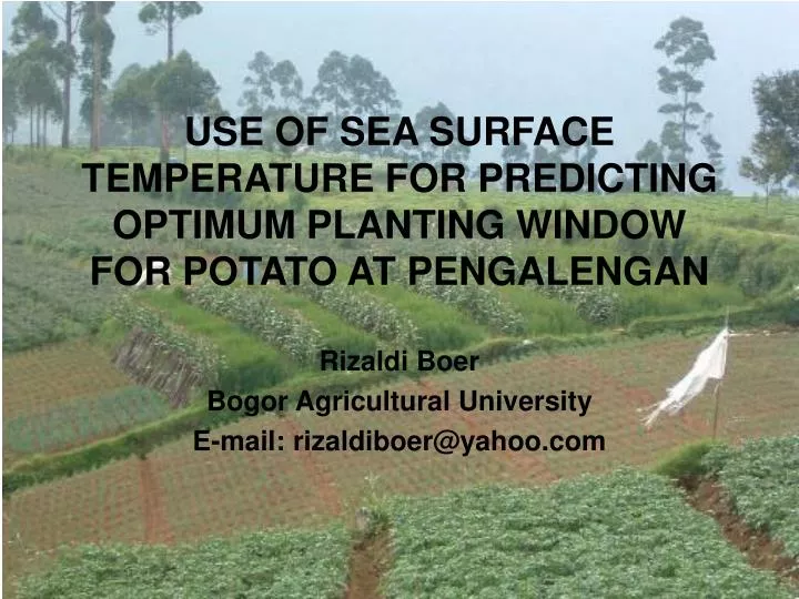 use of sea surface temperature for predicting optimum planting window for potato at pengalengan