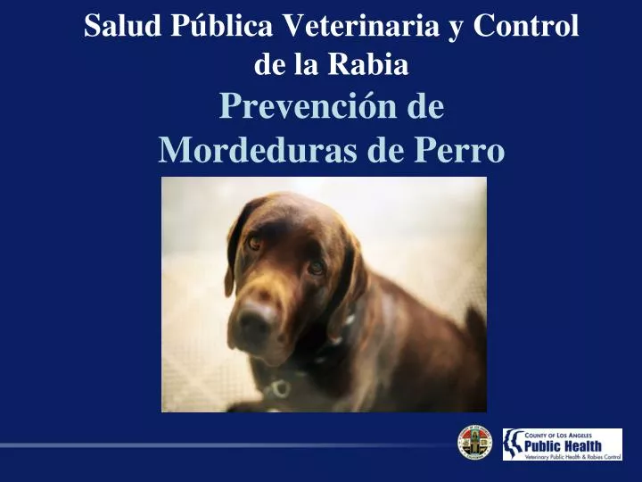 salud p blica veterinaria y control de la rabia prevenci n de mordeduras de perro