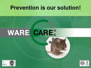 Prevention is our solution!