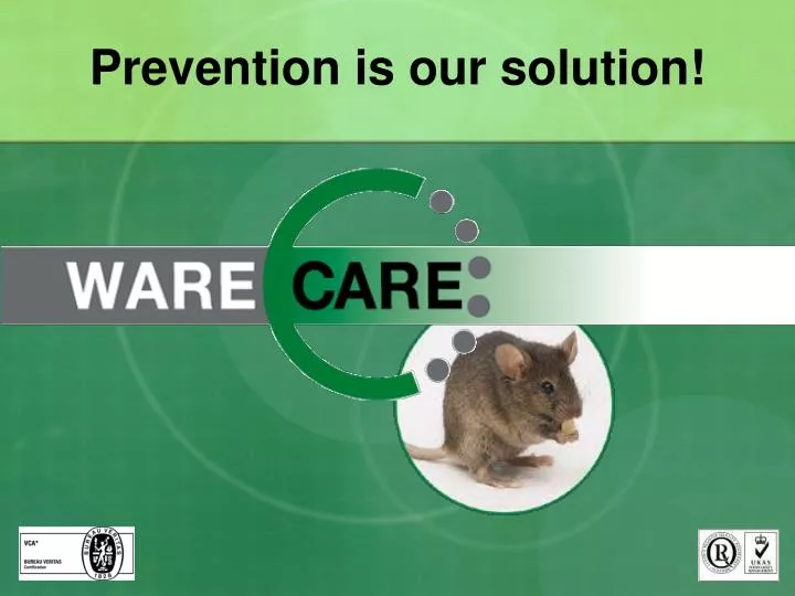 prevention is our solution