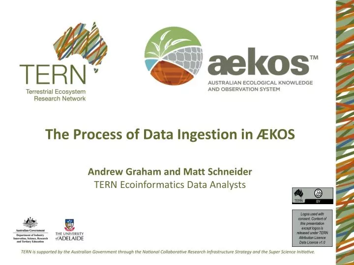 the process of data ingestion in kos