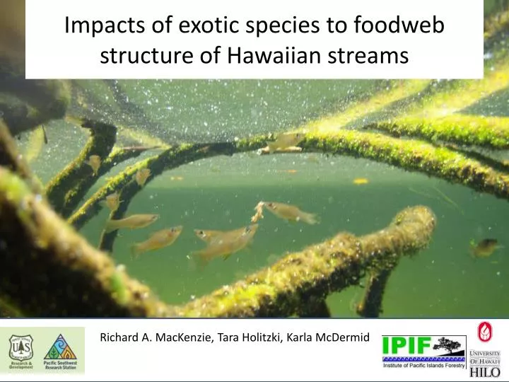 impacts of exotic species to foodweb structure of hawaiian streams