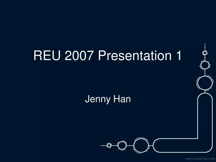 reu 2007 presentation 1