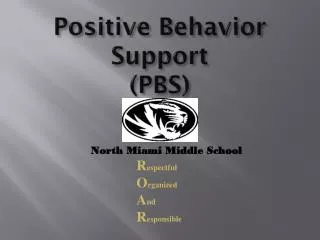 Positive Behavior Support (PBS)