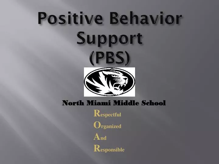 positive behavior support pbs