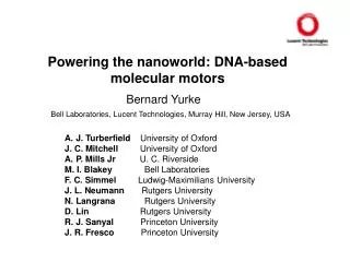 Powering the nanoworld: DNA-based molecular motors