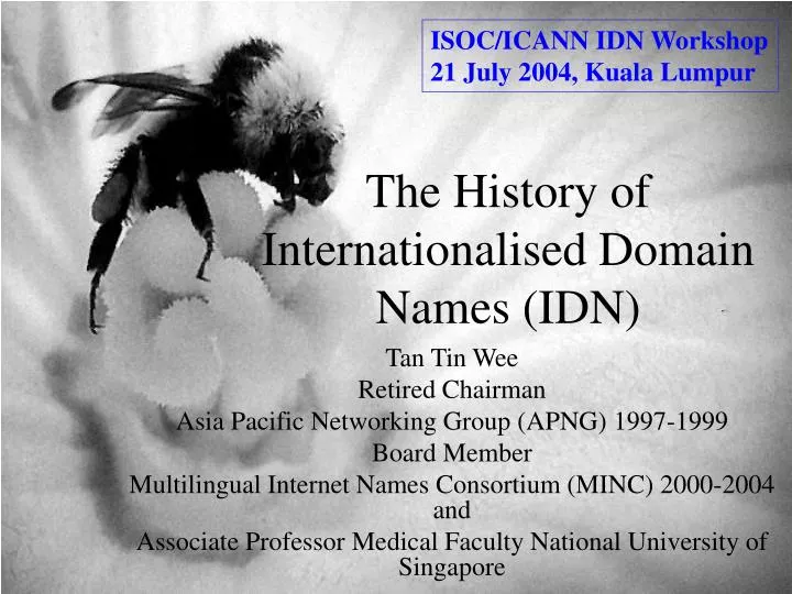 the history of internationalised domain names idn