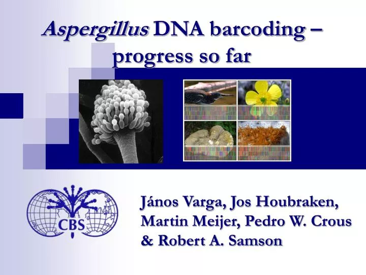 aspergillus dna barcoding progress so far