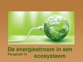 De energiestroom in een 			 ecosysteem