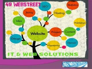 SEo services in chandigarh