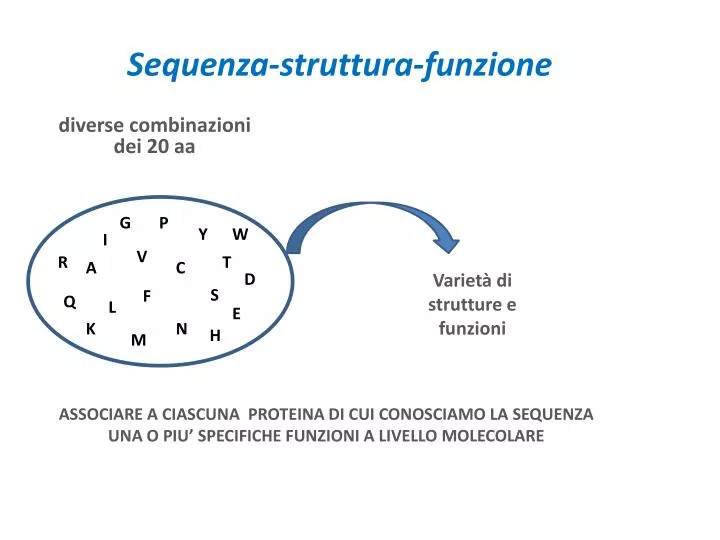 sequenza struttura funzione
