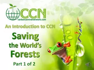 An Introduction to CCN