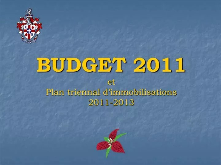 budget 2011 et plan triennal d immobilisations 2011 2013