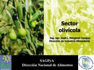 Sector olivícola Ing. Agr. José L. Marginet Campos Dirección de Industria Alimentaria