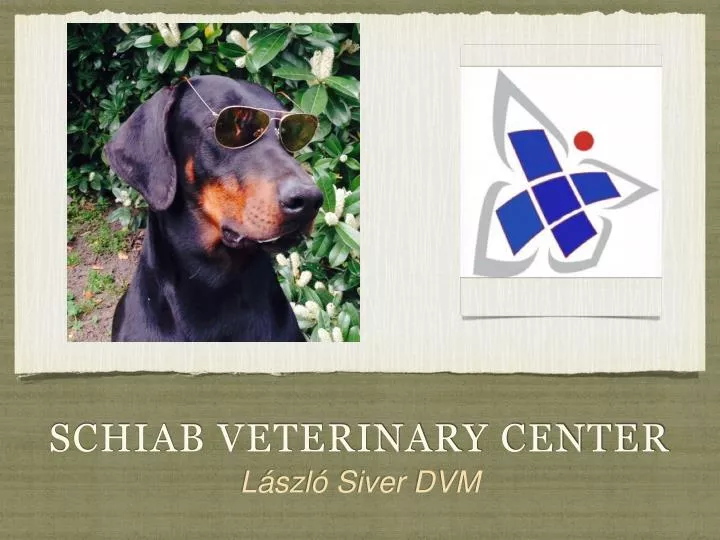 schiab veterinary center