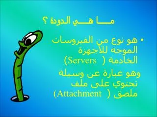 مــــــا هـــــي الـدودة ؟