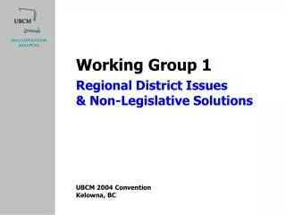 Regional District Issues &amp; Non-Legislative Solutions