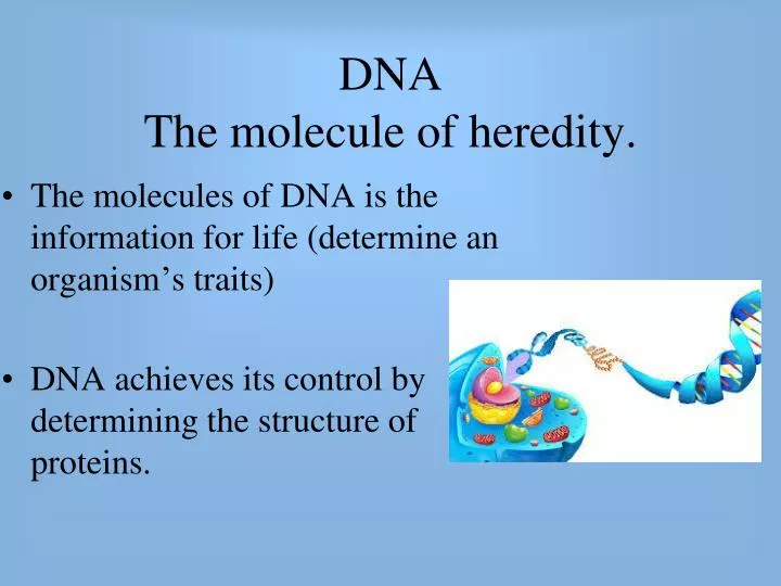 dna the molecule of heredity