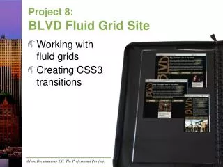 Project 8: BLVD Fluid Grid Site