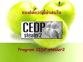 Program CEDP stealer2