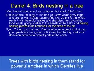 Daniel 4: Birds nesting in a tree