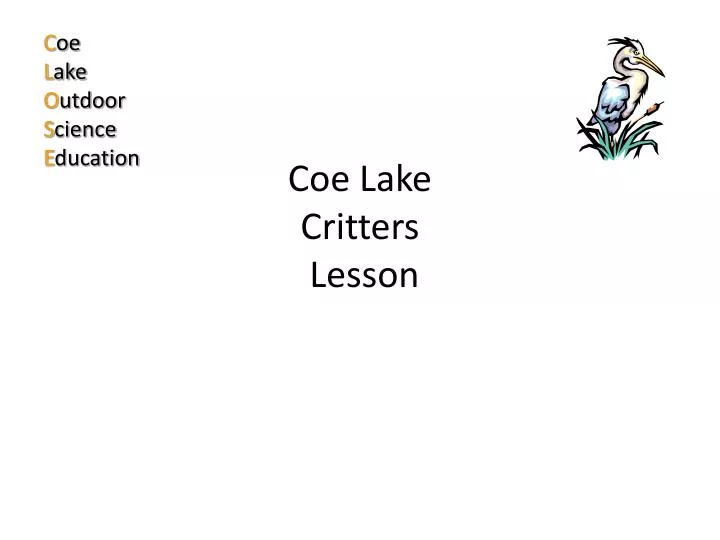 coe lake critters lesson