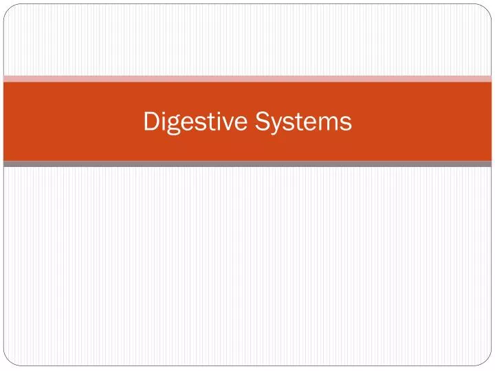 digestive systems